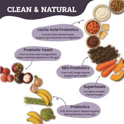 Probiotic and Prebiotic Digestive Powder Blend