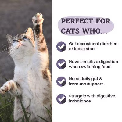 Probiotic and Prebiotic Digestive Powder Blend