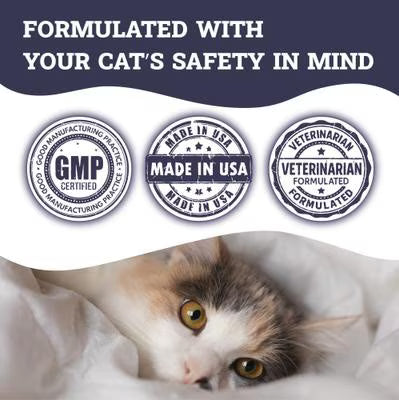 Probiotic and Prebiotic Digestive Powder Blend