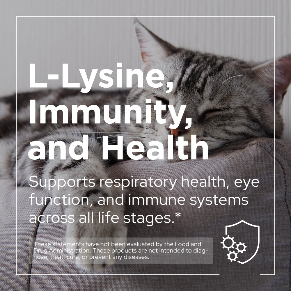 PetPal Immune Lysine+ for cats — lysine supplement that supports immune system and respiratory health