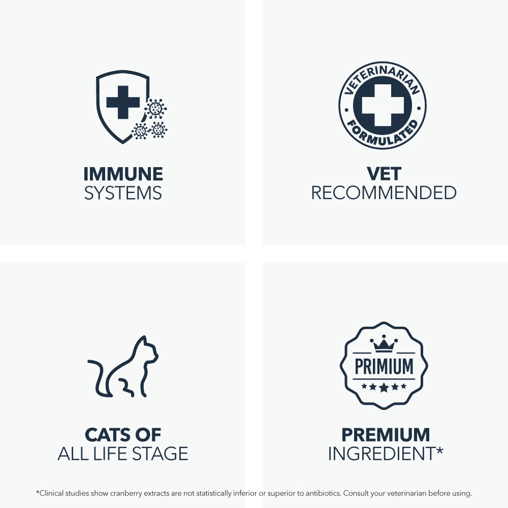 PetPal Immune Lysine+ for cats — lysine supplement that supports immune system and respiratory health