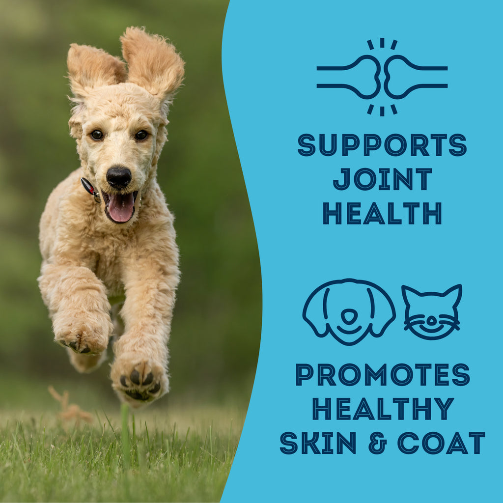 The Granville Island Pet Treatery  Dehydrated Sardines Treat for pets