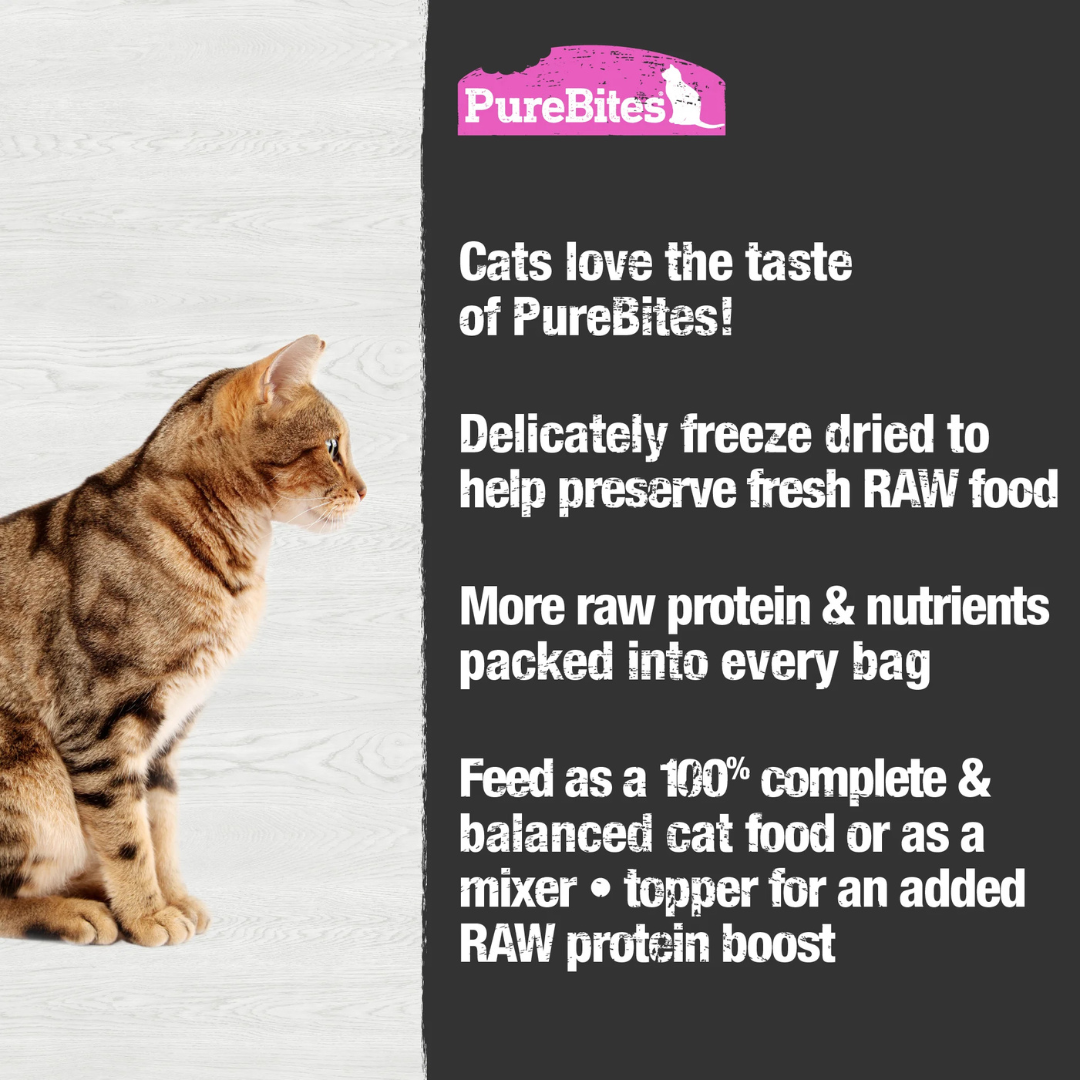 PureBites salmon raw freeze-dried cat food — single-protein, high-protein natural recipe made from human-grade salmon and organs